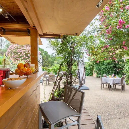 杏仁住宿加早餐旅馆 招待所 4*