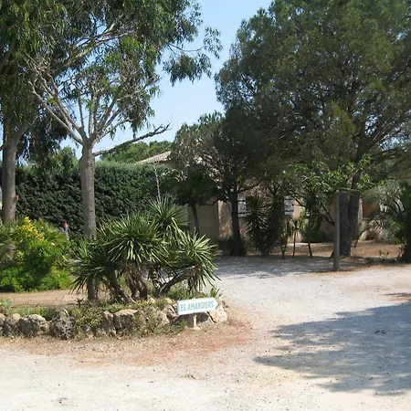 Casa de hóspedes D'hotes Les Amandiers